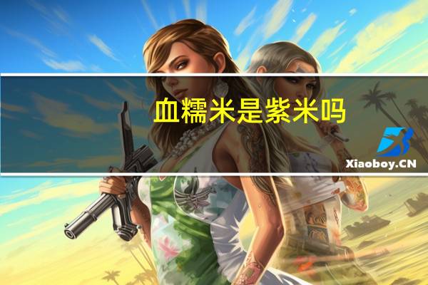 血糯米是紫米吗