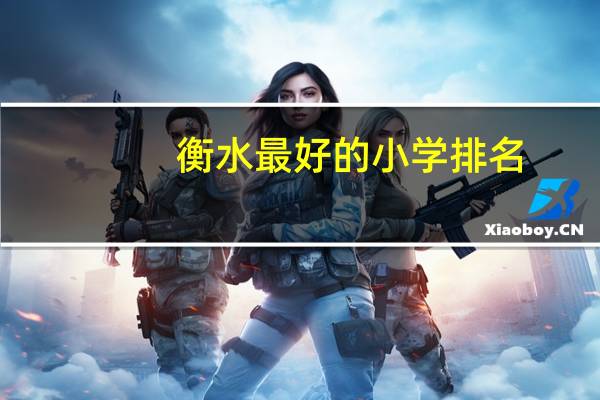 衡水最好的小学排名