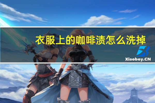 衣服上的咖啡渍怎么洗掉
