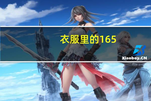 衣服里的165_84A是什么意思