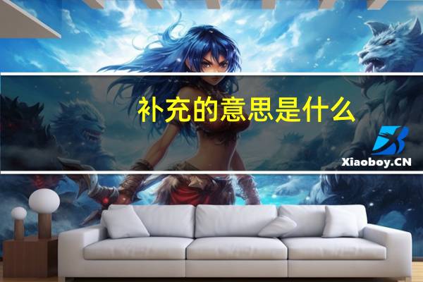 补充的意思是什么