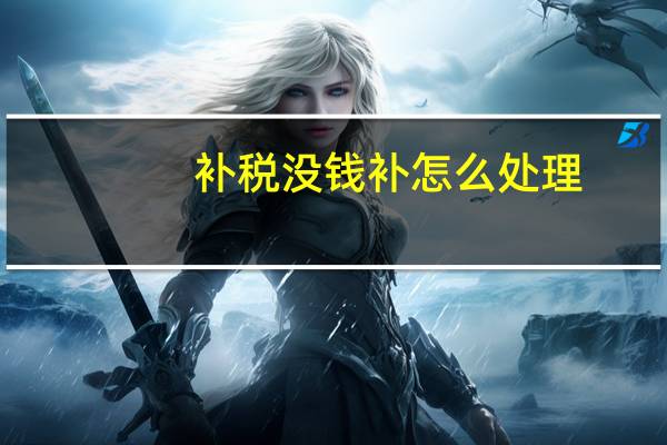 补税没钱补怎么处理