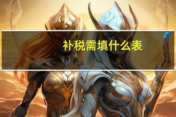 补税需填什么表