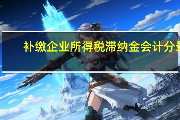 补缴企业所得税滞纳金会计分录