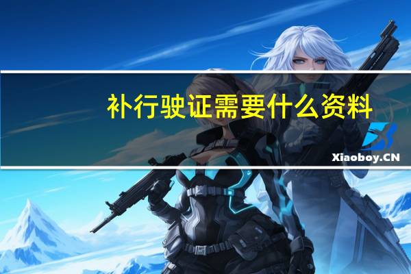 补行驶证需要什么资料