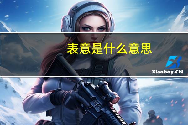 表意是什么意思