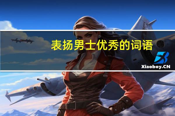 表扬男士优秀的词语