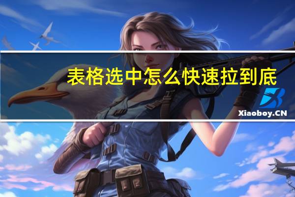 表格选中怎么快速拉到底