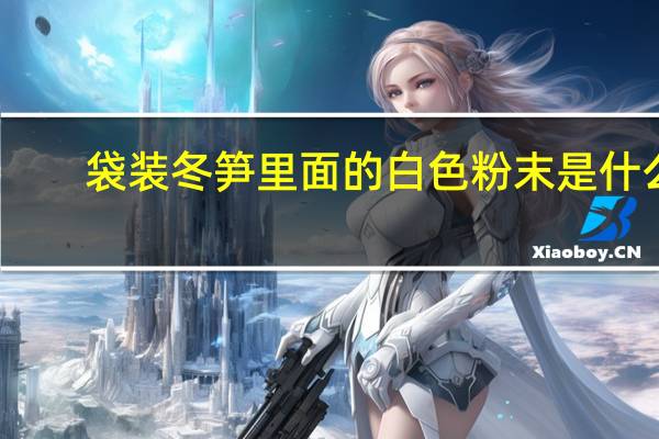 袋装冬笋里面的白色粉末是什么