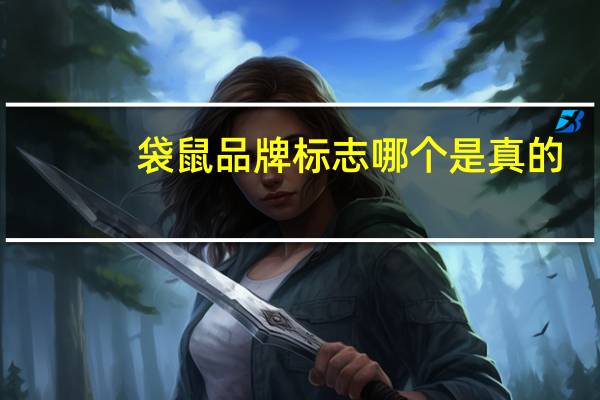 袋鼠品牌标志哪个是真的