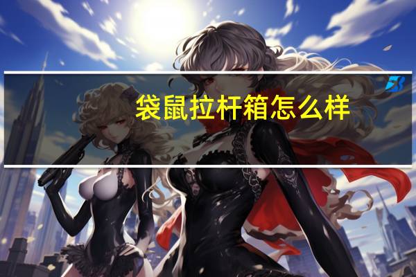 袋鼠拉杆箱怎么样