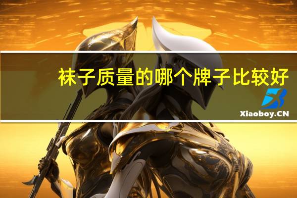 袜子质量的哪个牌子比较好
