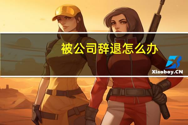被公司辞退怎么办