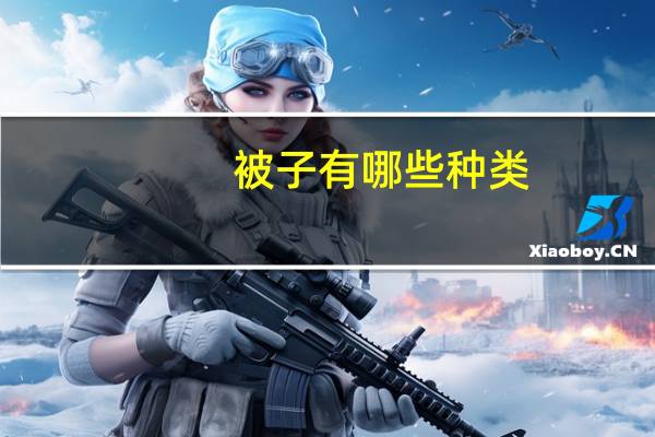 被子有哪些种类