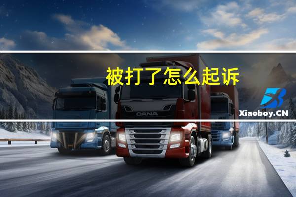 被打了怎么起诉
