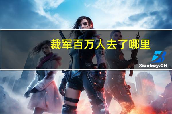裁军百万人去了哪里