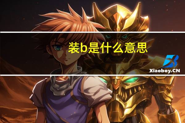 装b是什么意思