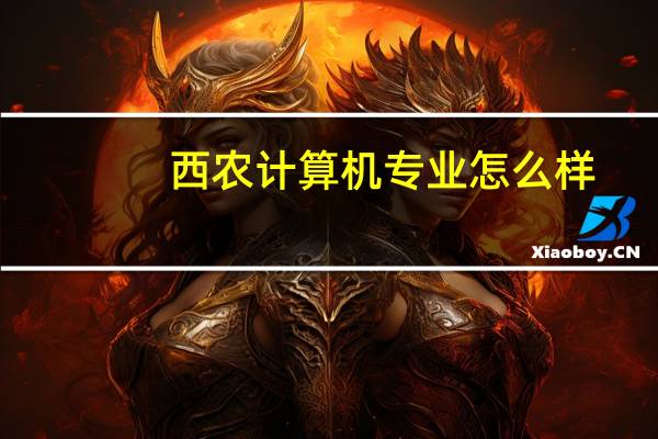 西农计算机专业怎么样