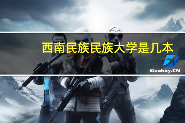 西南民族民族大学是几本