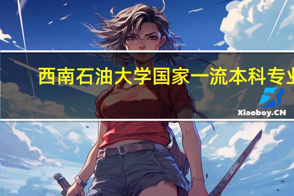 西南石油大学国家一流本科专业