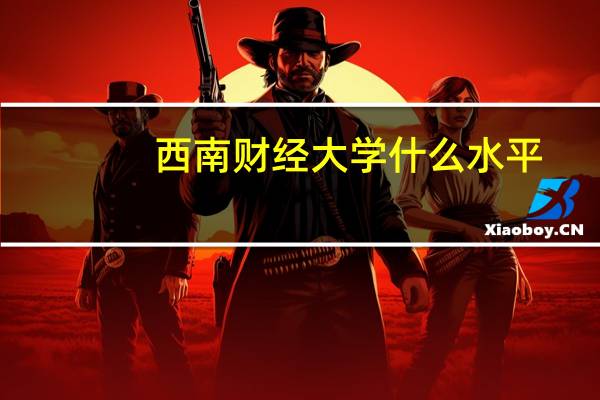 西南财经大学什么水平