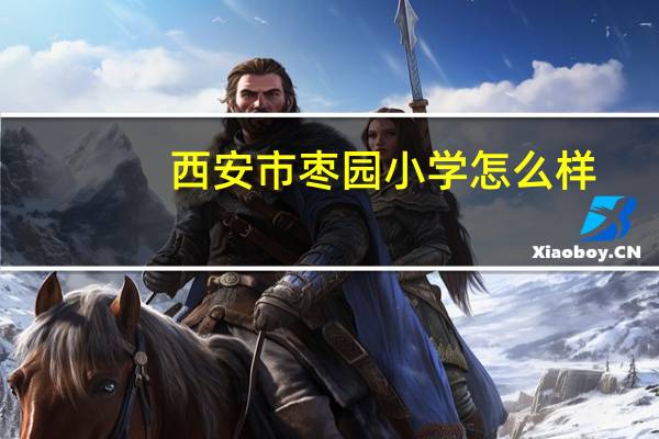 西安市枣园小学怎么样
