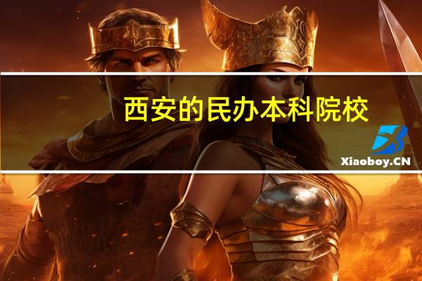 西安的民办本科院校