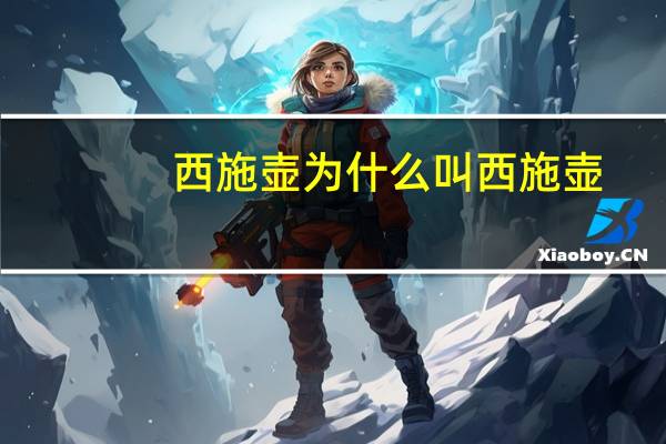 西施壶为什么叫西施壶