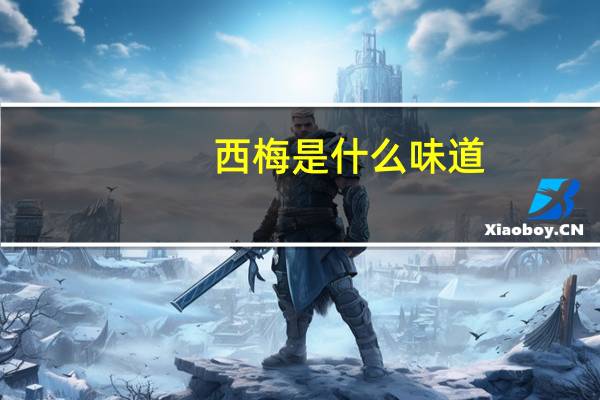 西梅是什么味道