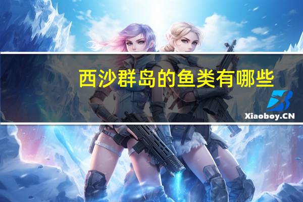 西沙群岛的鱼类有哪些