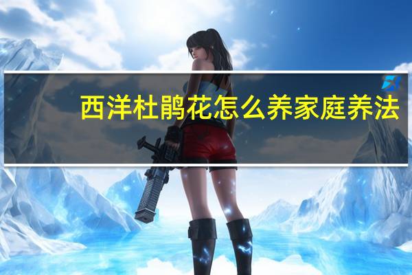 西洋杜鹃花怎么养家庭养法