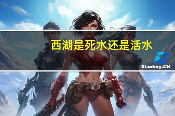 西湖是死水还是活水