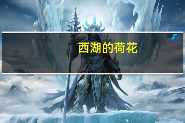 西湖的荷花