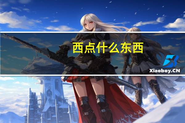 西点什么东西