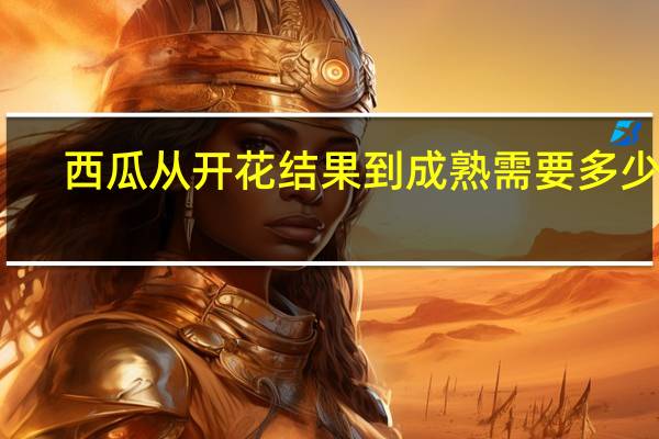 西瓜从开花结果到成熟需要多少天
