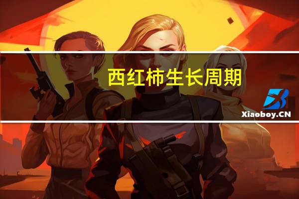 西红柿生长周期