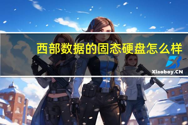 西部数据的固态硬盘怎么样