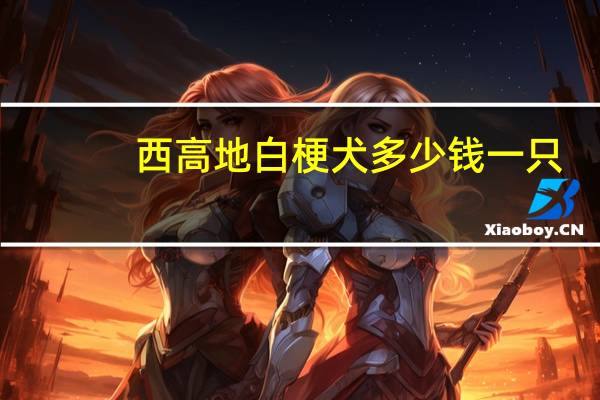 西高地白梗犬多少钱一只