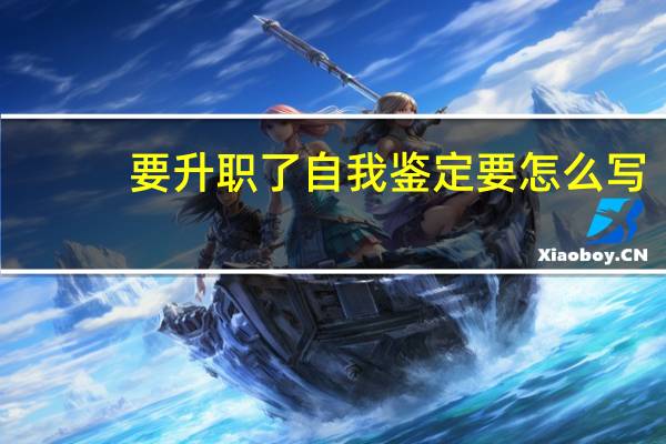 要升职了自我鉴定要怎么写
