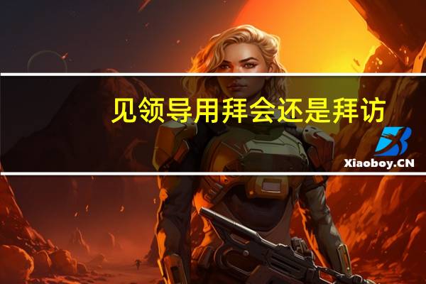 见领导用拜会还是拜访