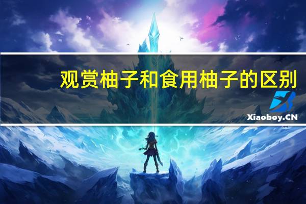 观赏柚子和食用柚子的区别