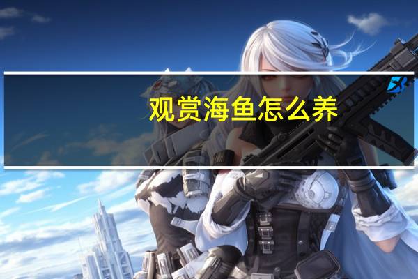 观赏海鱼怎么养