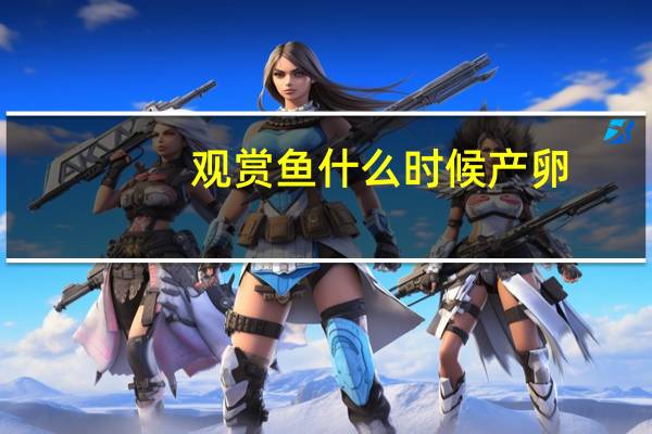 观赏鱼什么时候产卵