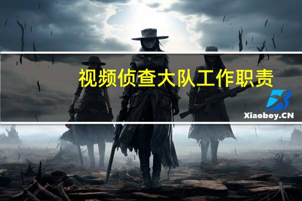 视频侦查大队工作职责