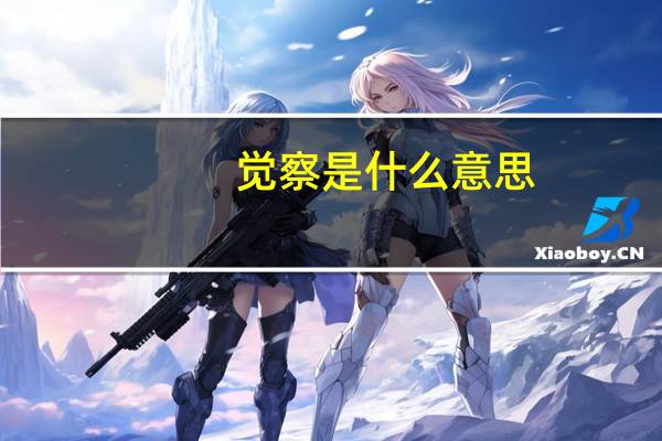 觉察是什么意思