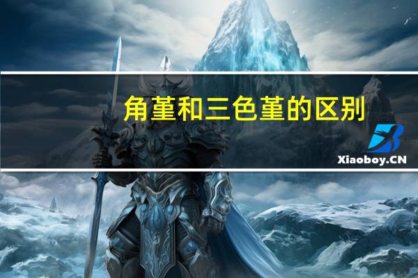 角堇和三色堇的区别