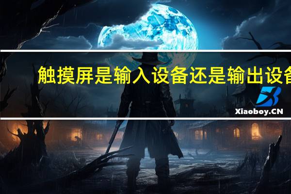 触摸屏是输入设备还是输出设备