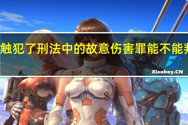触犯了刑法中的故意伤害罪能不能判缓刑