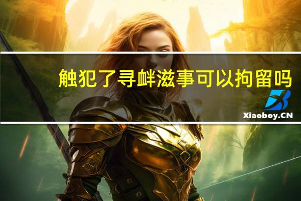 触犯了寻衅滋事可以拘留吗