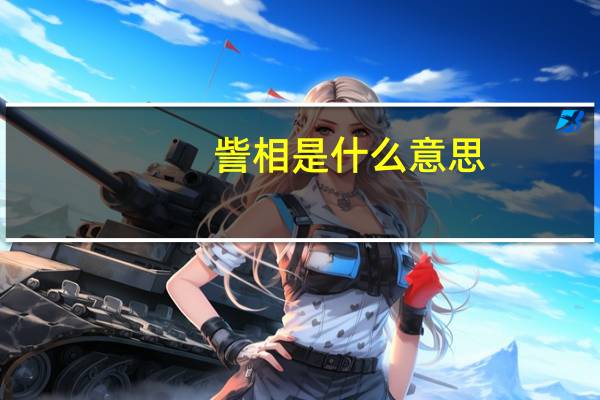 訾相是什么意思